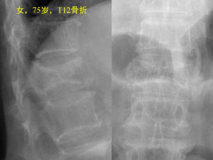 圖片1.jpg