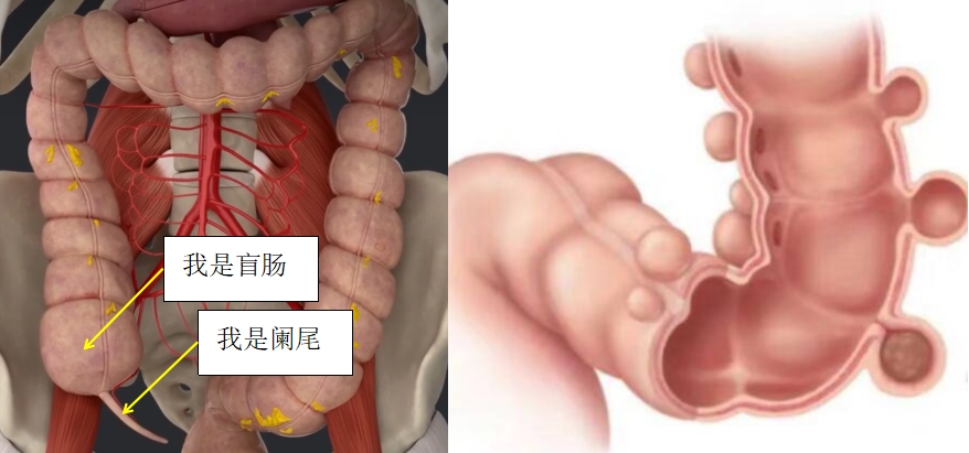 微信截圖_20240722092234.png