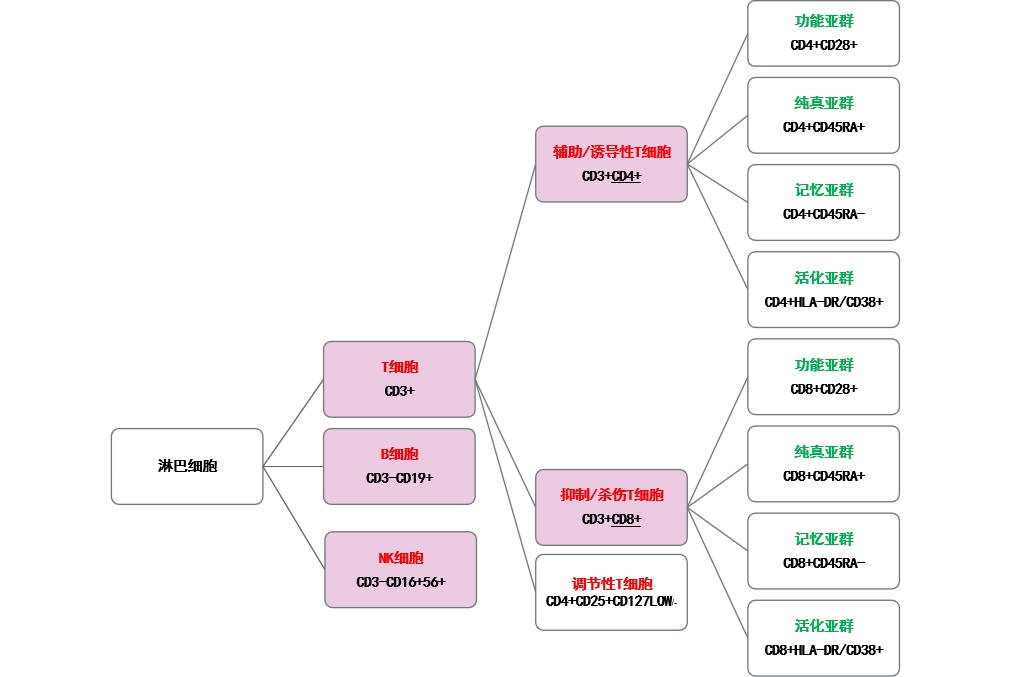 圖片1.png