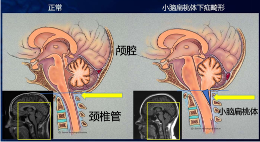 1微信圖片_20240906190814.png