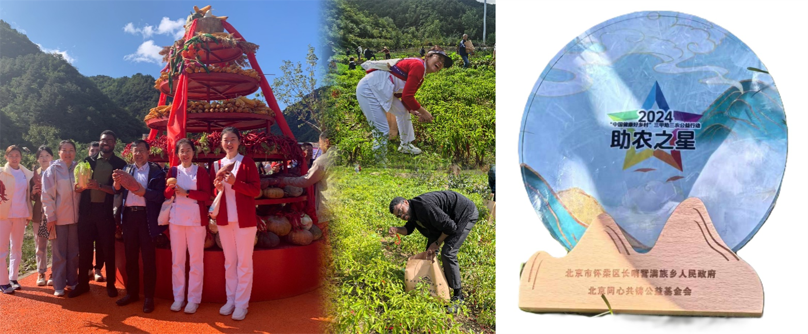 圖片1_副本.png