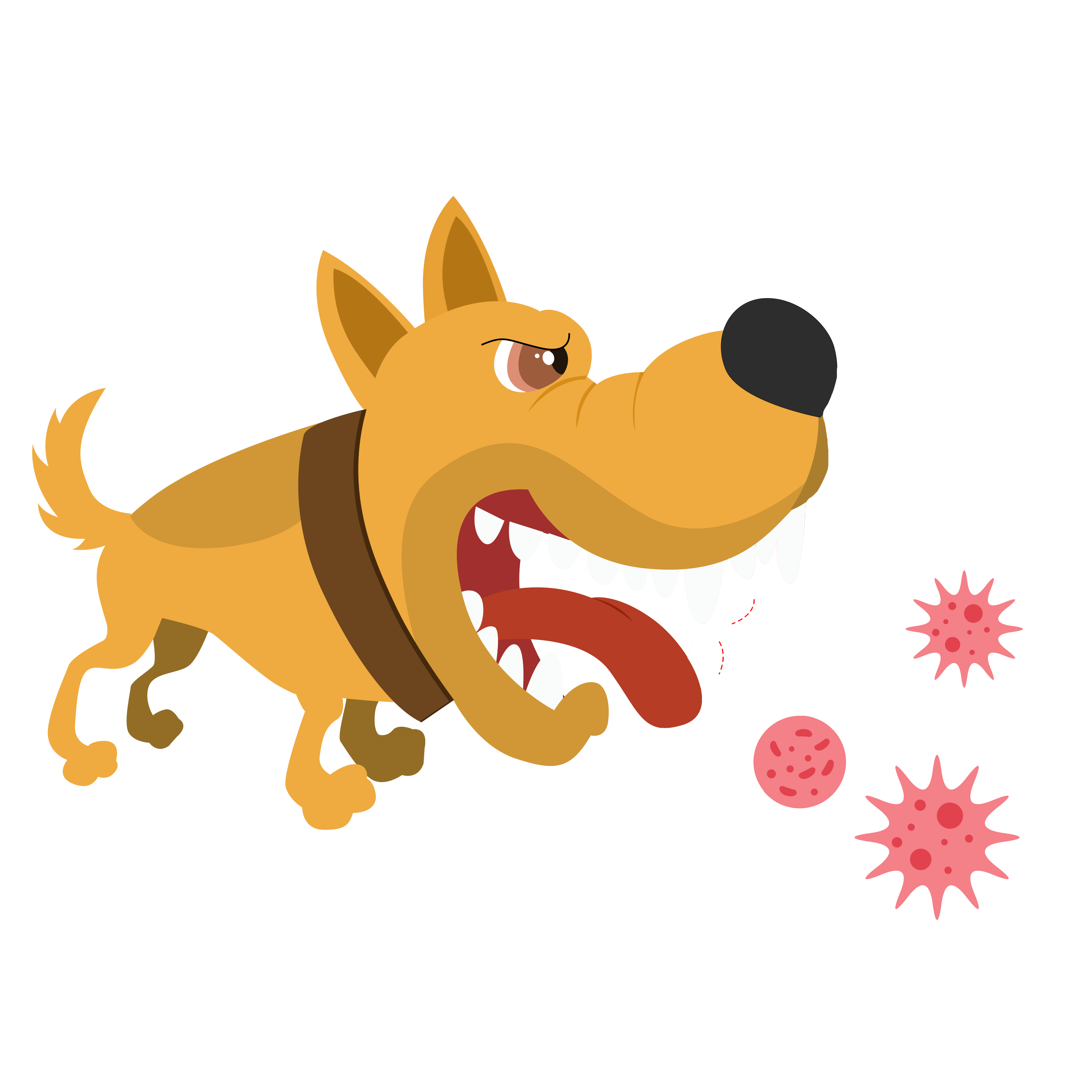 千庫(kù)網(wǎng)_人染上狂犬病病毒過(guò)程扁平風(fēng)_元素編號(hào)13455972.png